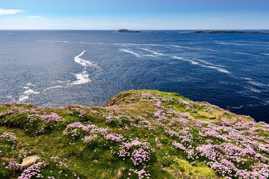 Shetland 562 copia